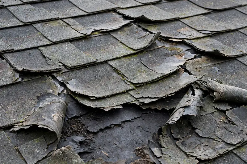 Shingle Repair before repair — roof damage in Dearborn, MI
